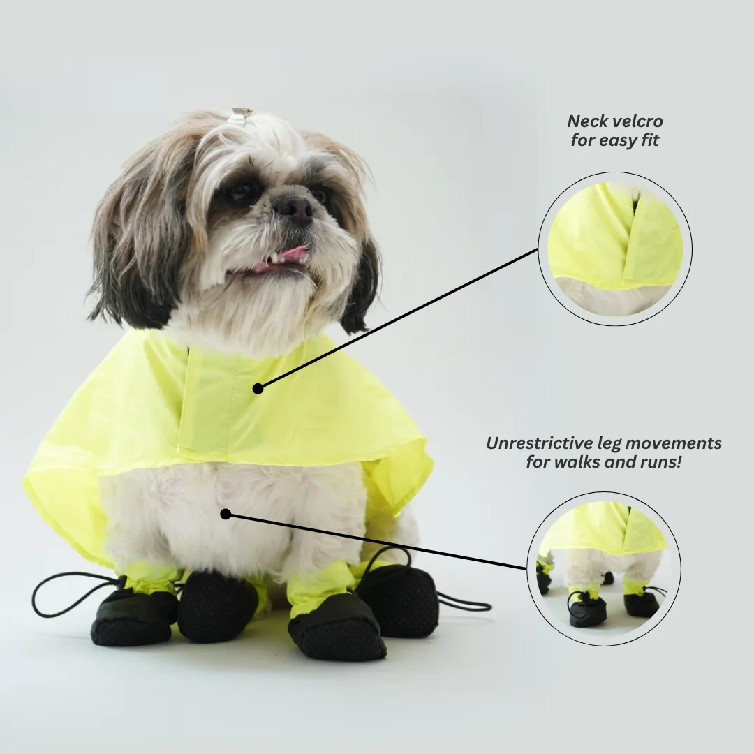 RainPaw Combo - Bunny Eazy Breazy (with paw covers)