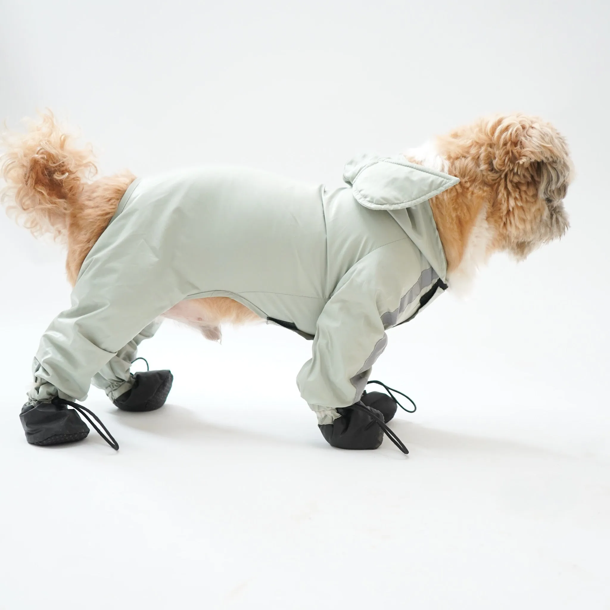 RainPaw Combo - Foxy Full Coverage (with paw covers)