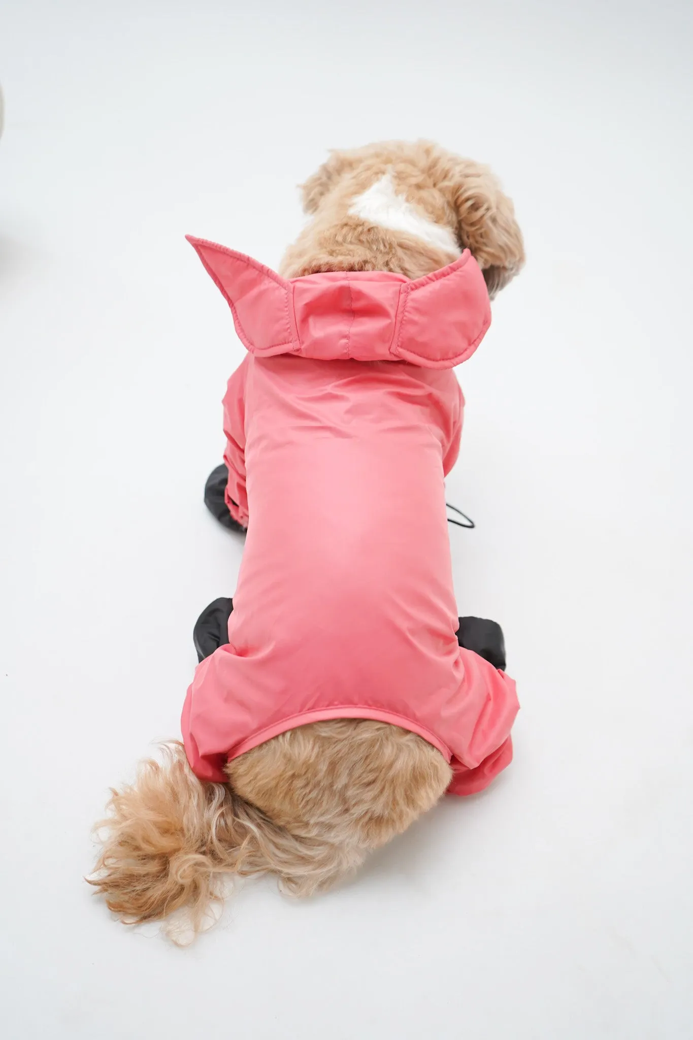 RainPaw Combo - Foxy Full Coverage (with paw covers)