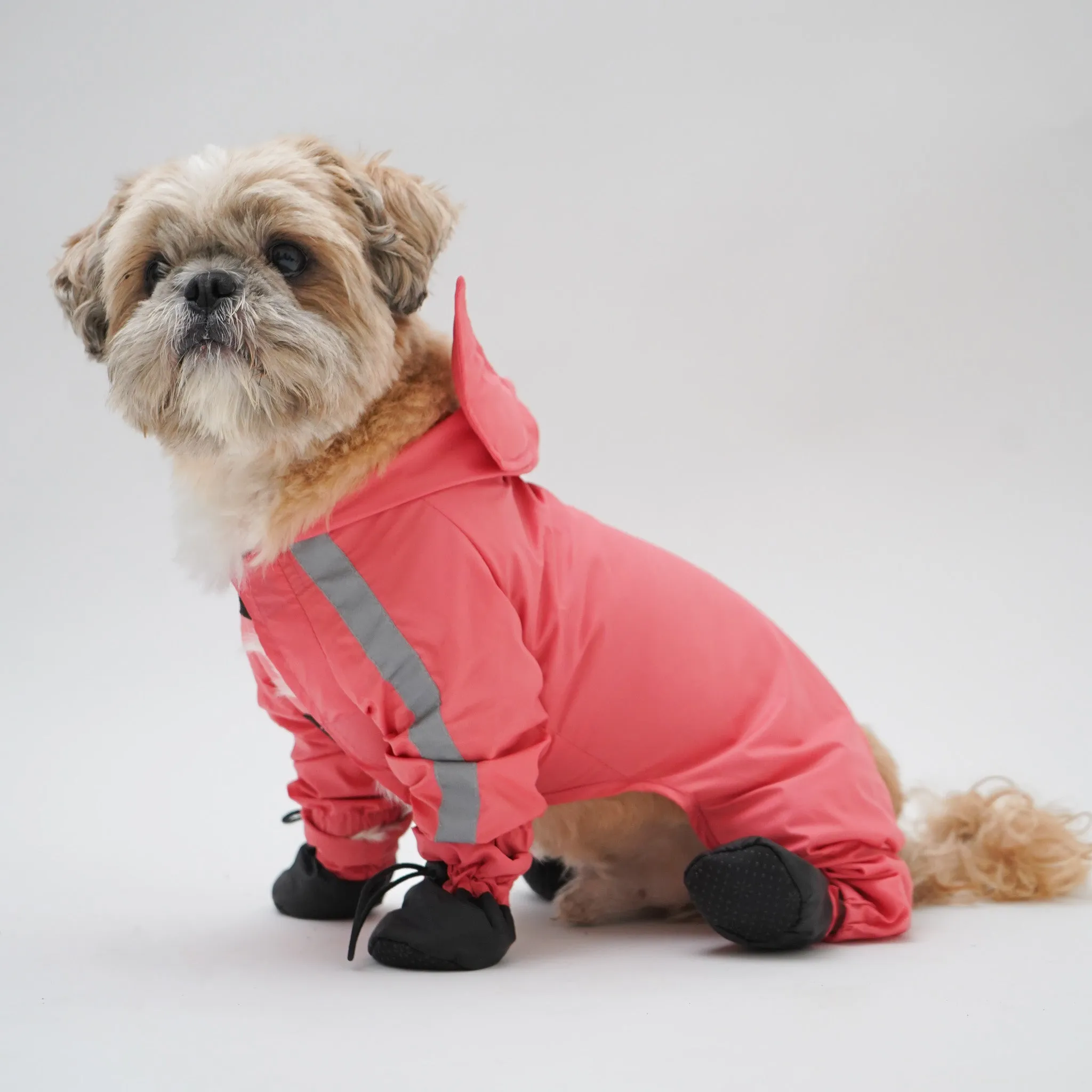 RainPaw Combo - Foxy Full Coverage (with paw covers)
