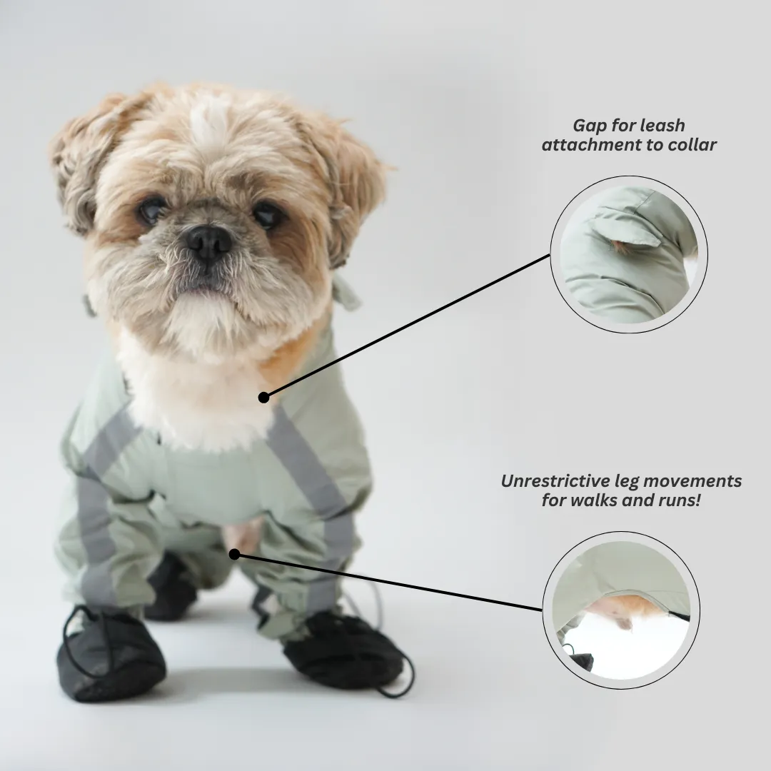 RainPaw Combo - Foxy Full Coverage (with paw covers)