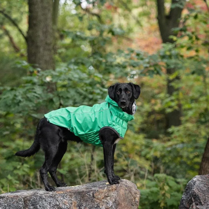 Reversible Elasto-Fit Dog Raincoat - Green