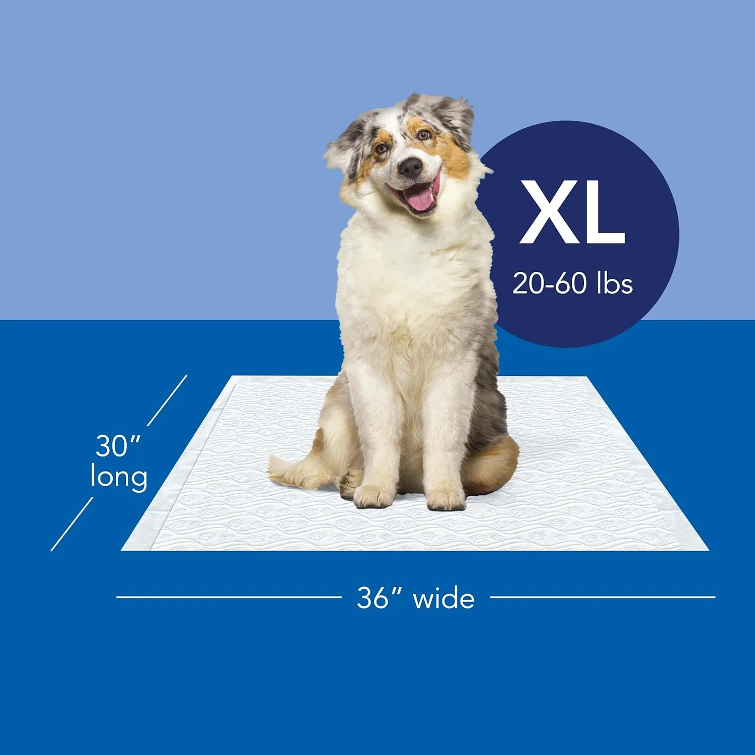Scott Pet Guard Dog Pads - Medium & Large Dog Training Pee Pads - Up to 12 Hour Absorbent Odor Control - XL Size - 30" x 36" - 40 Pack
