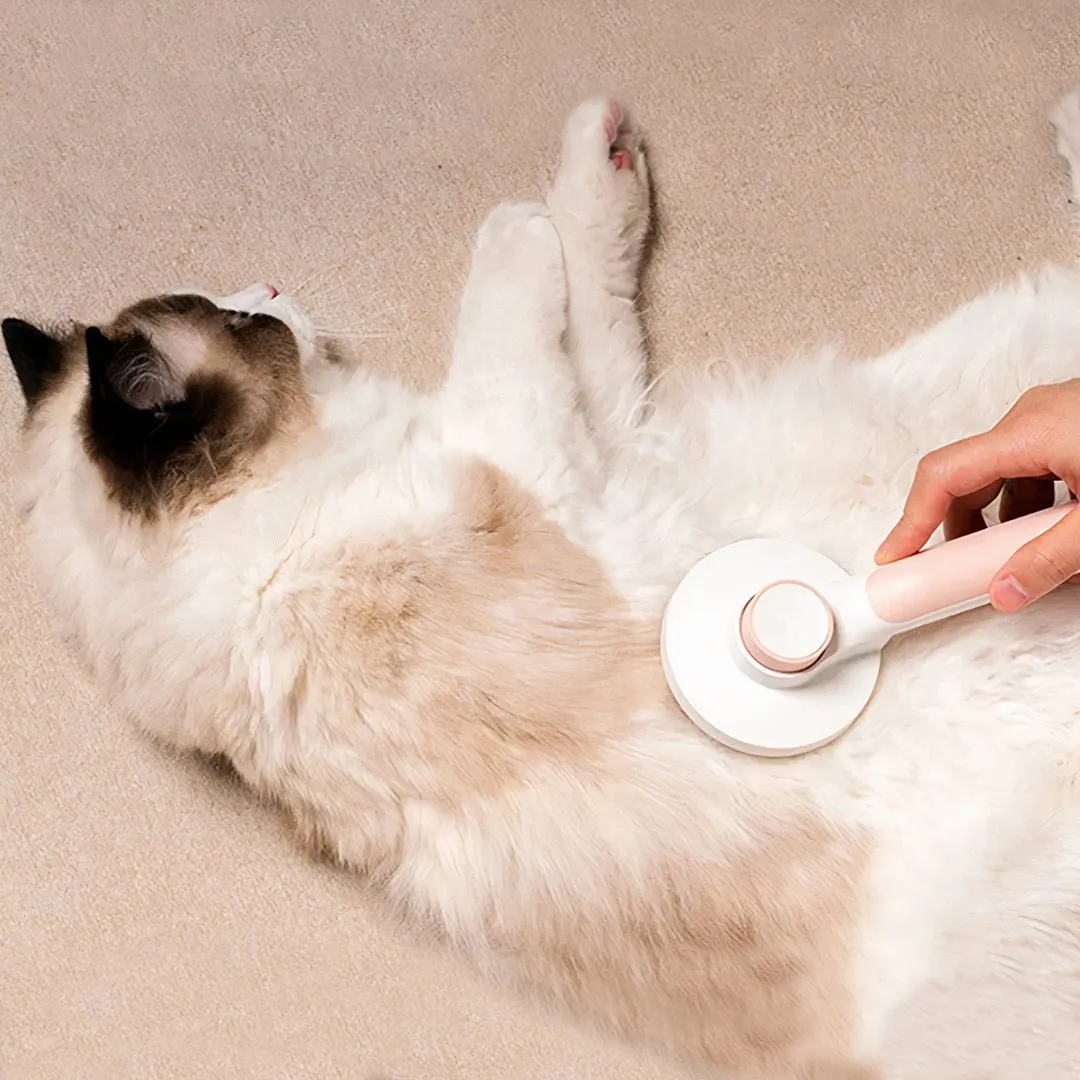 Self-Cleaning Cat & Pet Brush