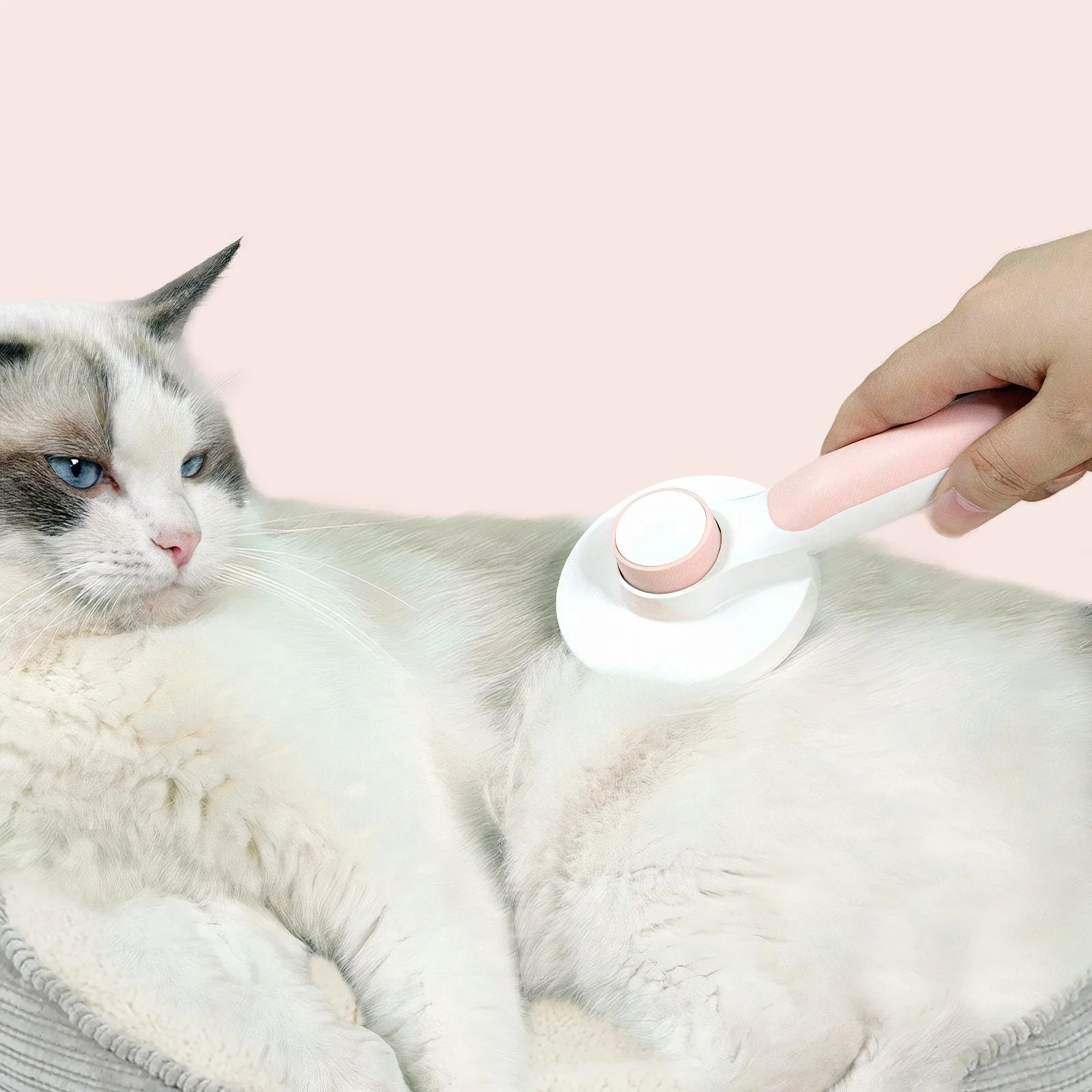 Self-Cleaning Cat & Pet Brush