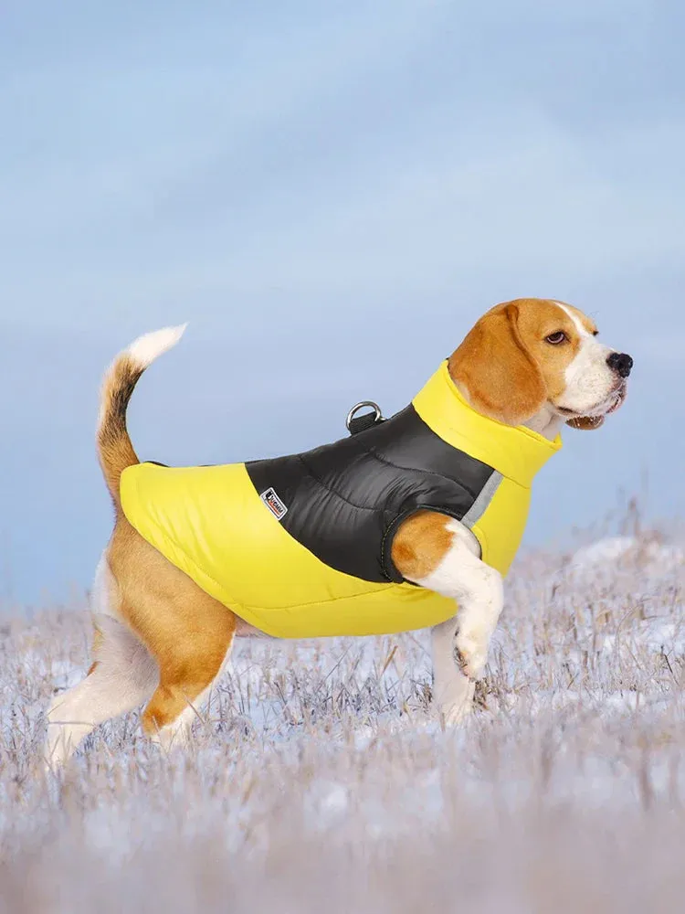 Waterproof Winter Dog Coat for All Sizes