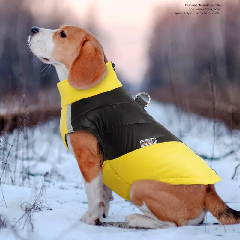 Waterproof Winter Dog Coat for All Sizes