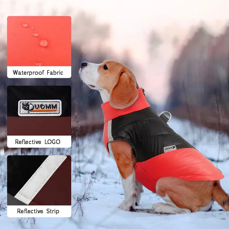 Waterproof Winter Dog Coat for All Sizes