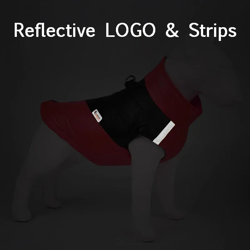 Waterproof Winter Dog Coat for All Sizes