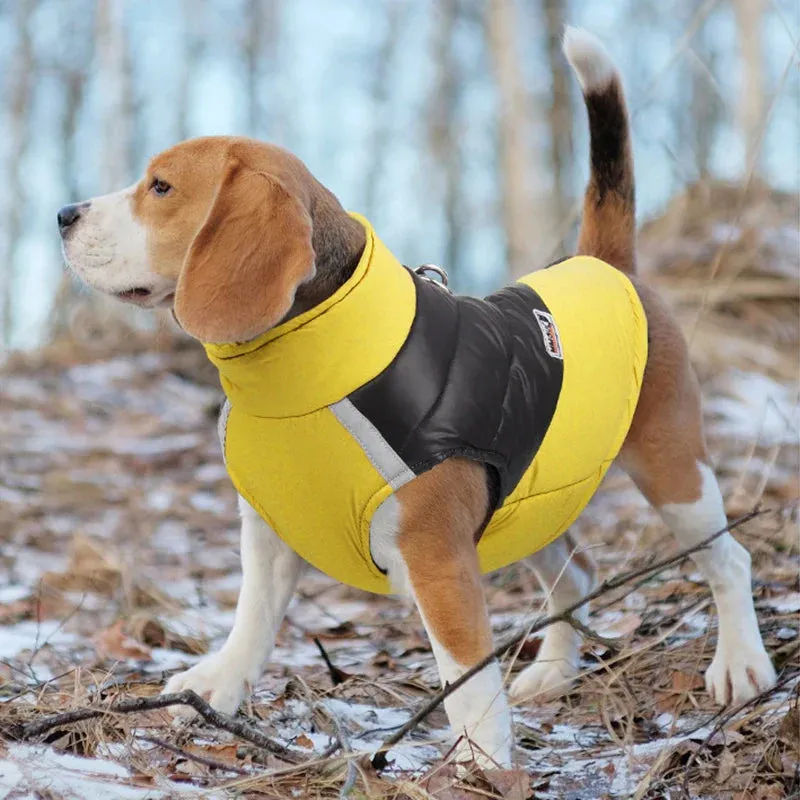 Waterproof Winter Dog Coat for All Sizes
