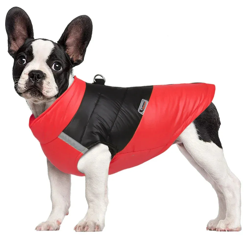 Waterproof Winter Dog Coat for All Sizes