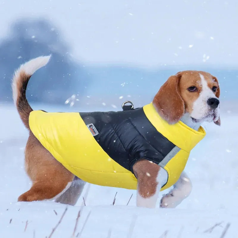 Waterproof Winter Dog Coat for All Sizes